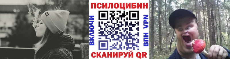мега ссылки  Покровск  Псилоцибиновые грибы Magic Shrooms  цена  